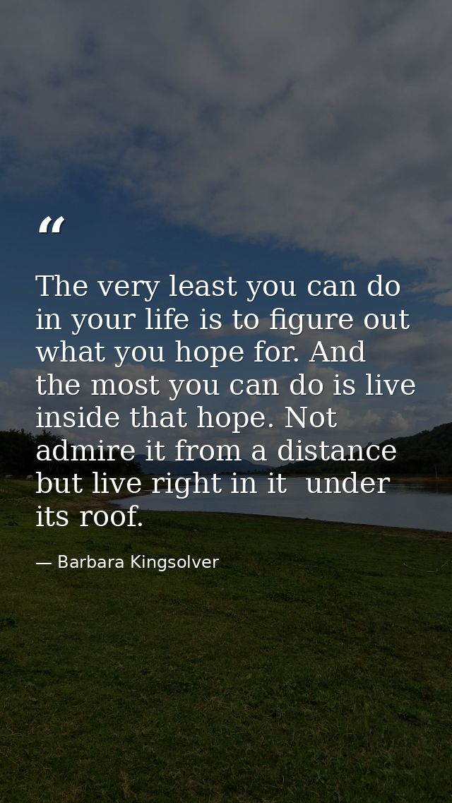 The very least you can do in your life is to figure out what you hope for. And the most you can do is live inside that h — Barbara Kingsolver