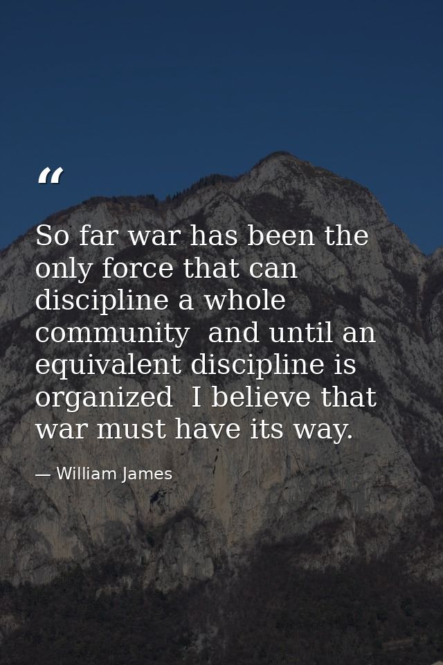 So far war has been the only force that can discipline a whole community  and until an equivalent discipline is organize — William James