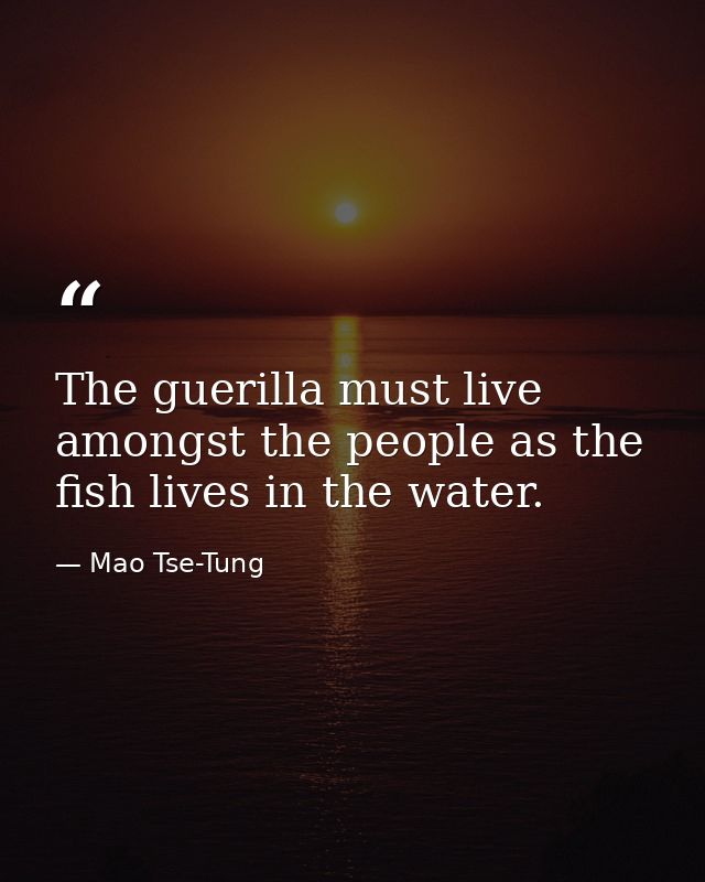 The guerilla must live amongst the people as the fish lives in the water. — Mao Tse-Tung