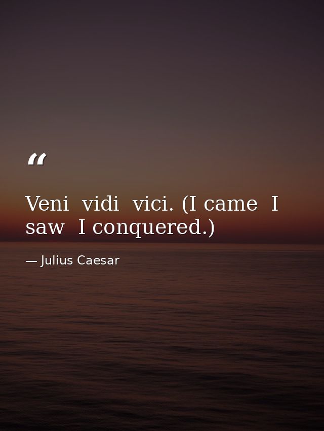 Veni  vidi  vici. (I came  I saw  I conquered.) — Julius Caesar