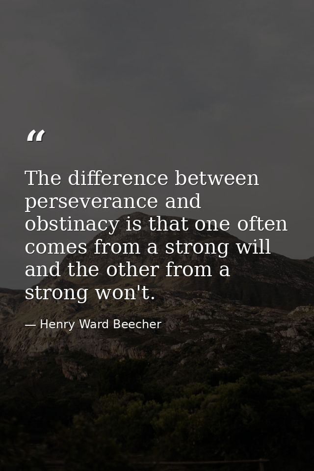 The difference between perseverance and obstinacy is that one often comes from a strong will  and the other from a stron — Henry Ward Beecher