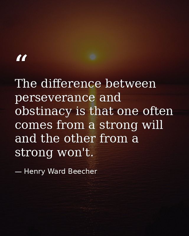 The difference between perseverance and obstinacy is that one often comes from a strong will  and the other from a stron — Henry Ward Beecher
