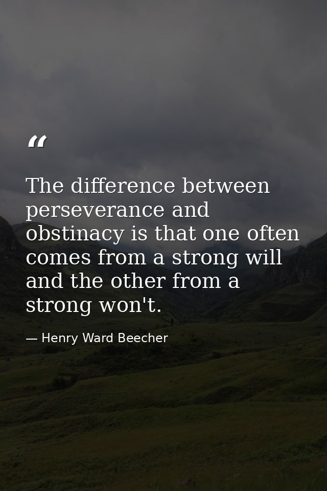 The difference between perseverance and obstinacy is that one often comes from a strong will  and the other from a stron — Henry Ward Beecher