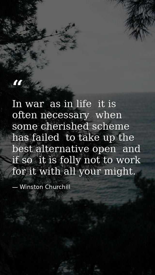In war  as in life  it is often necessary  when some cherished scheme has failed  to take up the best alternative open   — Winston Churchill
