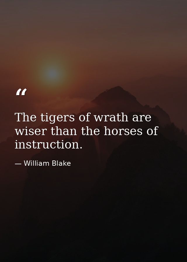The tigers of wrath are wiser than the horses of instruction. — William Blake