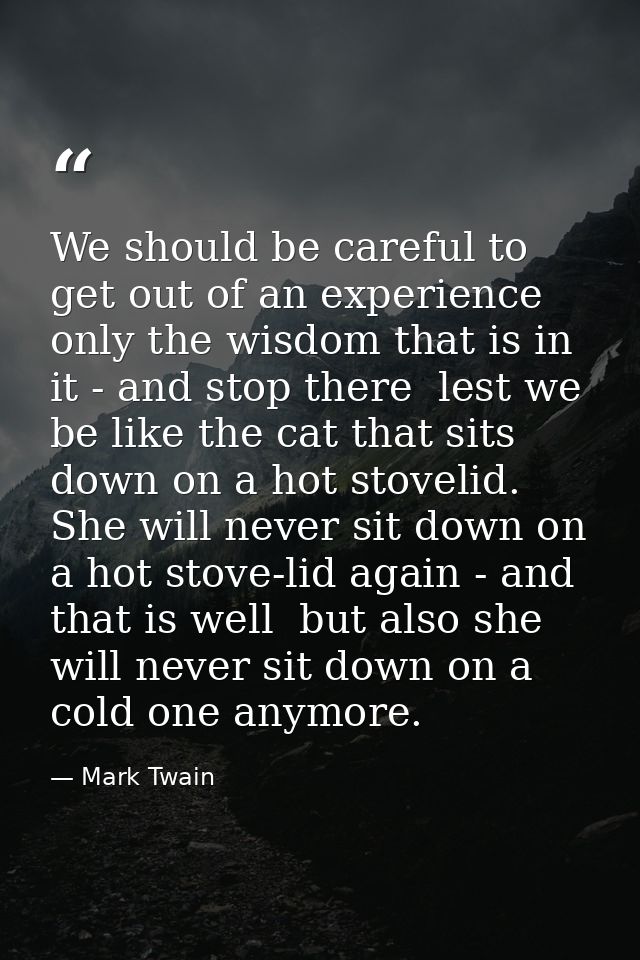 We should be careful to get out of an experience only the wisdom that is in it - and stop there  lest we be like the cat — Mark Twain