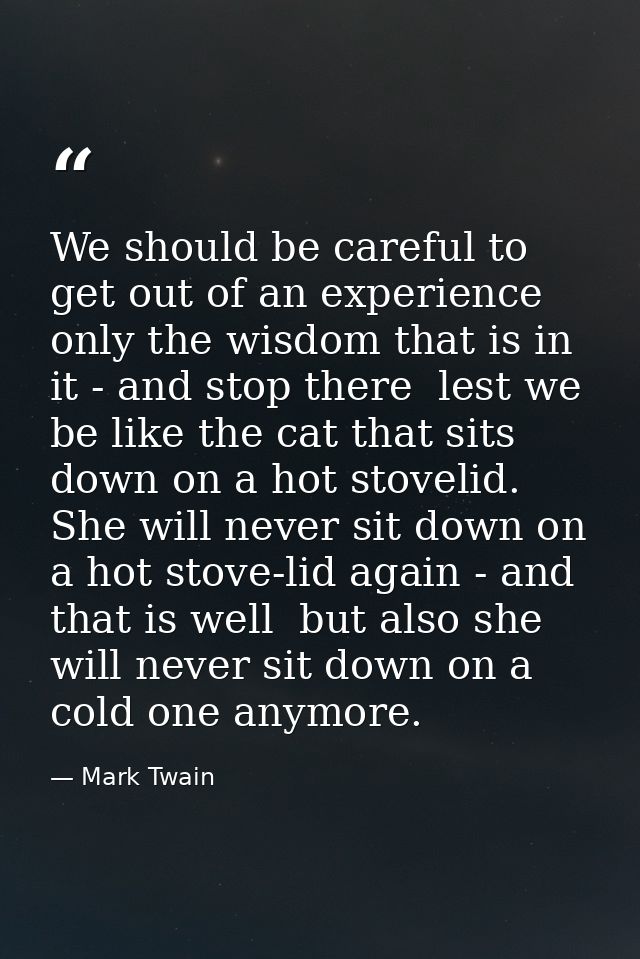 We should be careful to get out of an experience only the wisdom that is in it - and stop there  lest we be like the cat — Mark Twain
