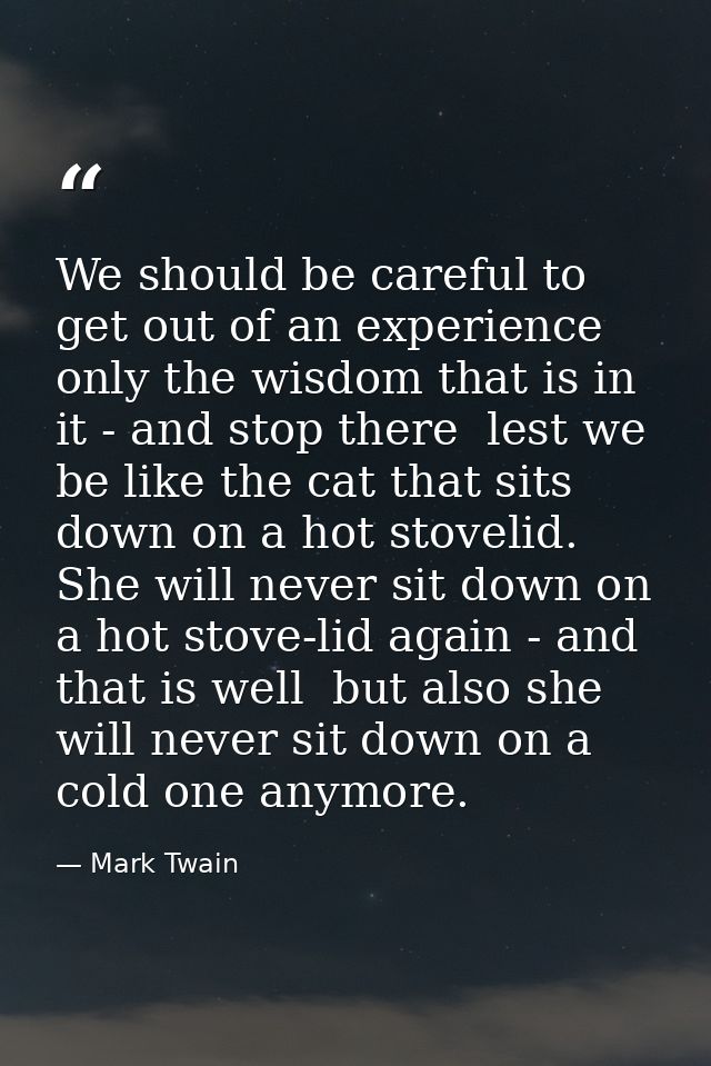 We should be careful to get out of an experience only the wisdom that is in it - and stop there  lest we be like the cat — Mark Twain