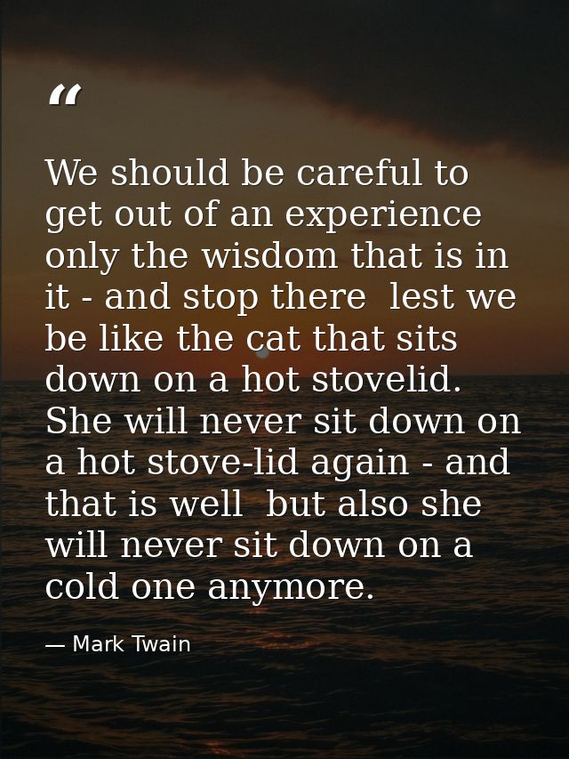 We should be careful to get out of an experience only the wisdom that is in it - and stop there  lest we be like the cat — Mark Twain
