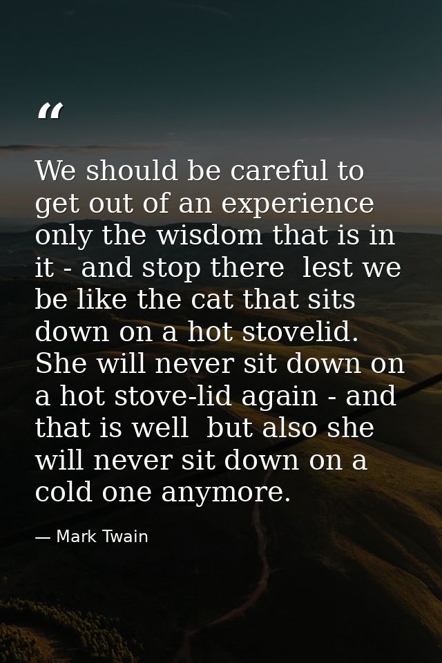 We should be careful to get out of an experience only the wisdom that is in it - and stop there  lest we be like the cat — Mark Twain