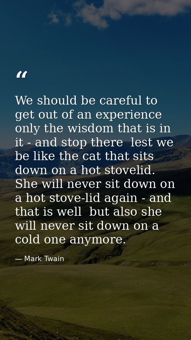 We should be careful to get out of an experience only the wisdom that is in it - and stop there  lest we be like the cat — Mark Twain