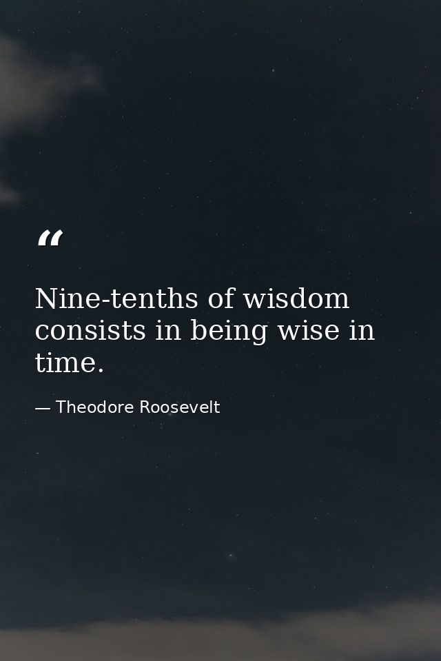 Nine-tenths of wisdom consists in being wise in time. — Theodore Roosevelt