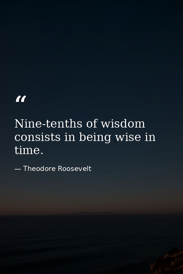 Nine-tenths of wisdom consists in being wise in time. — Theodore Roosevelt