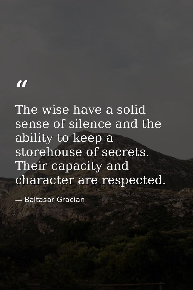 The wise have a solid sense of silence and the ability to keep a storehouse of secrets. Their capacity and character are — Baltasar Gracian