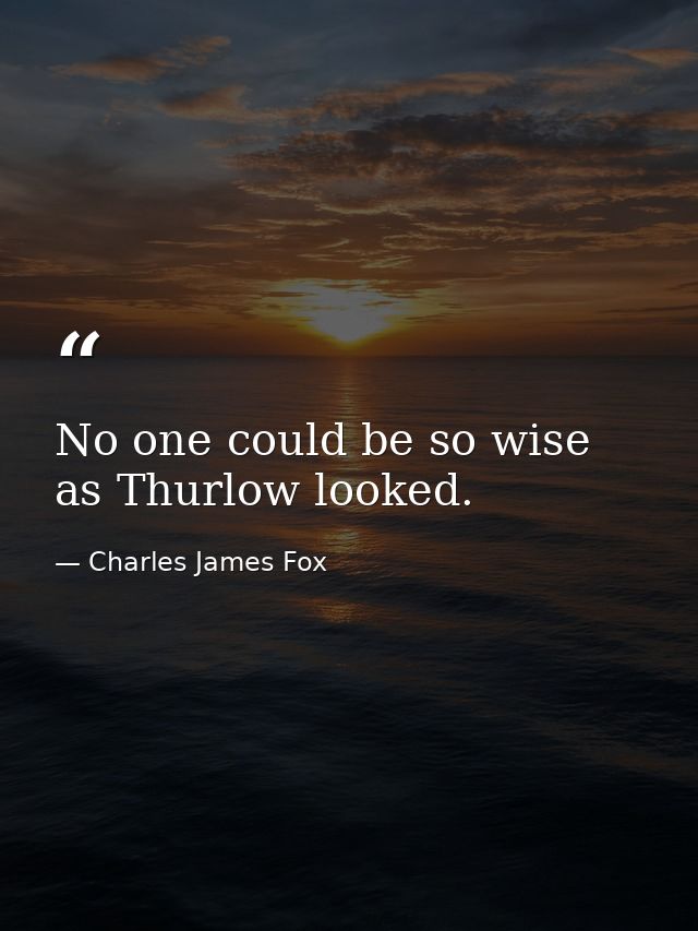 No one could be so wise as Thurlow looked. — Charles James Fox