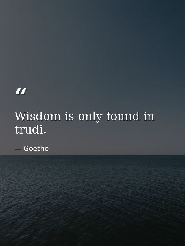 Wisdom is only found in trudi. — Goethe
