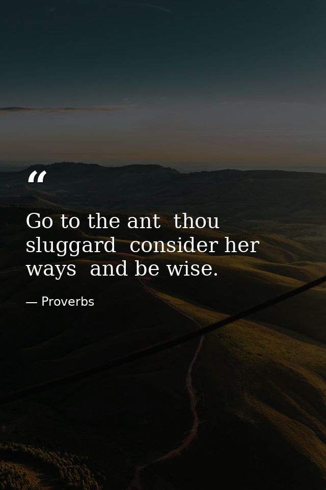 Go to the ant  thou sluggard  consider her ways  and be wise. — Proverbs