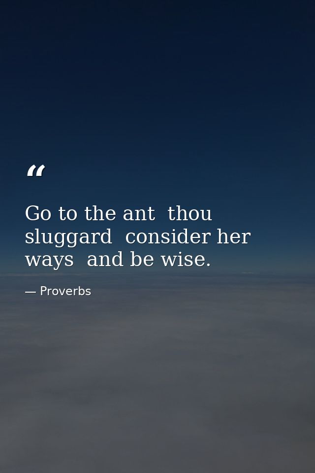 Go to the ant  thou sluggard  consider her ways  and be wise. — Proverbs