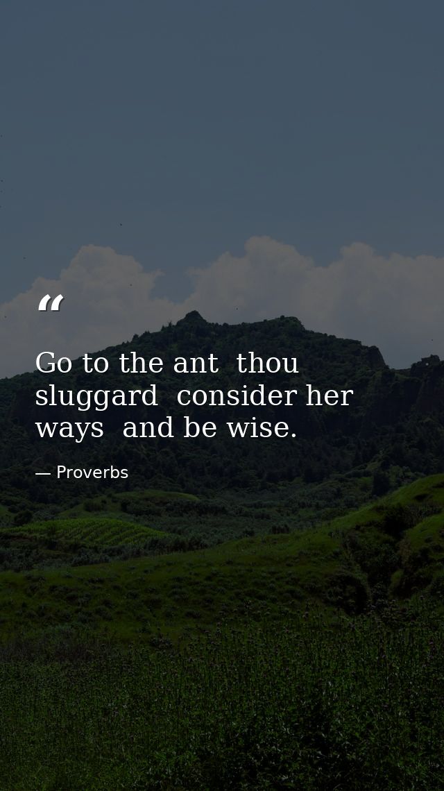 Go to the ant  thou sluggard  consider her ways  and be wise. — Proverbs