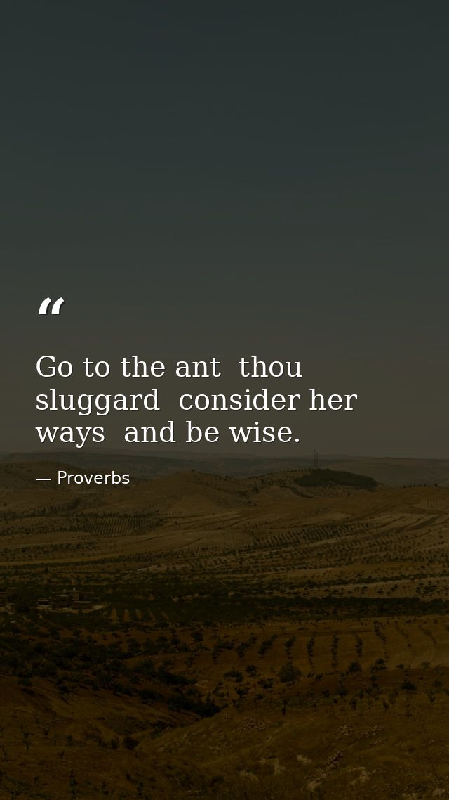 Go to the ant  thou sluggard  consider her ways  and be wise. — Proverbs