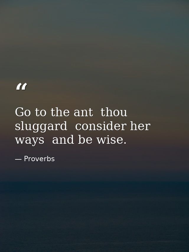 Go to the ant  thou sluggard  consider her ways  and be wise. — Proverbs