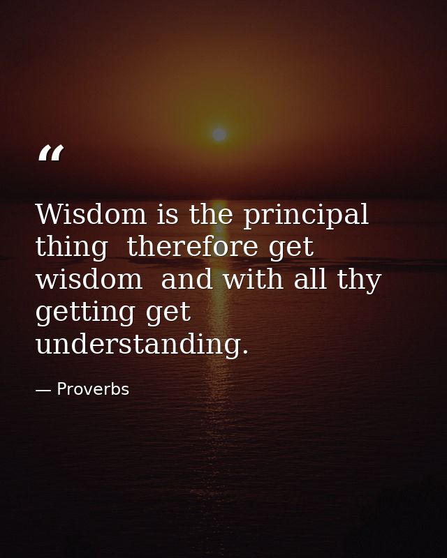 Wisdom is the principal thing  therefore get wisdom  and with all thy getting get understanding. — Proverbs