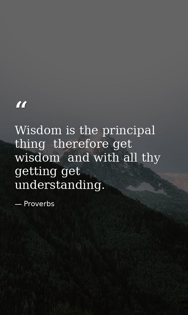 Wisdom is the principal thing  therefore get wisdom  and with all thy getting get understanding. — Proverbs