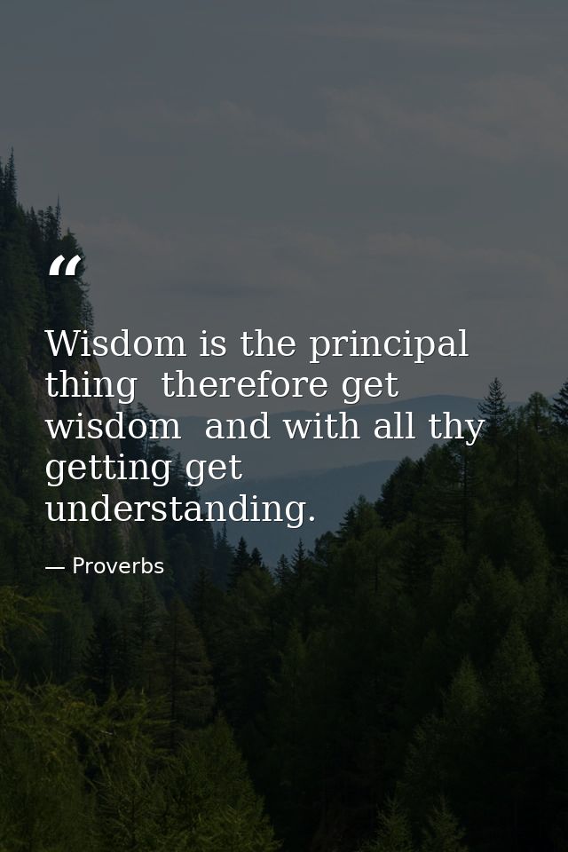 Wisdom is the principal thing  therefore get wisdom  and with all thy getting get understanding. — Proverbs
