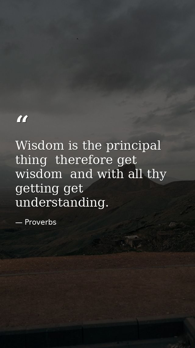 Wisdom is the principal thing  therefore get wisdom  and with all thy getting get understanding. — Proverbs