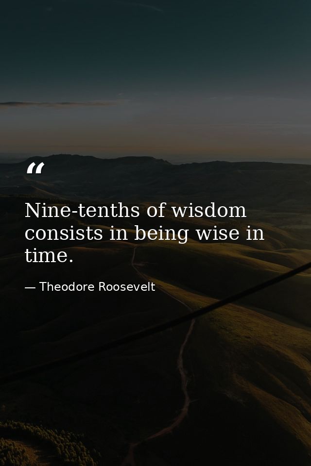 Nine-tenths of wisdom consists in being wise in time. — Theodore Roosevelt