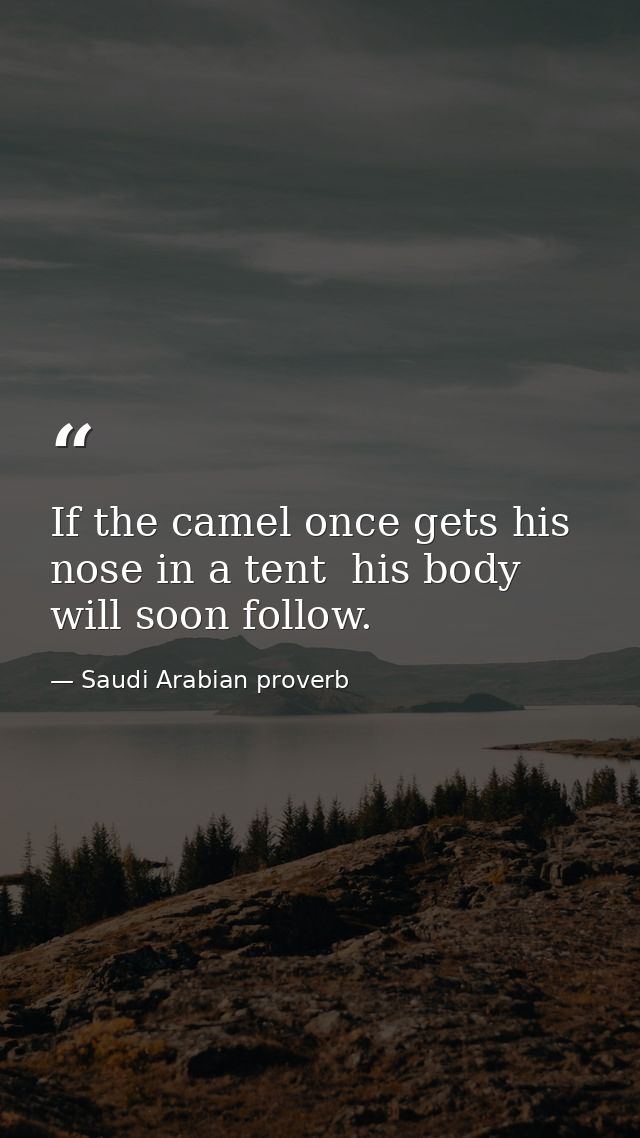 If the camel once gets his nose in a tent  his body will soon follow. — Saudi Arabian proverb