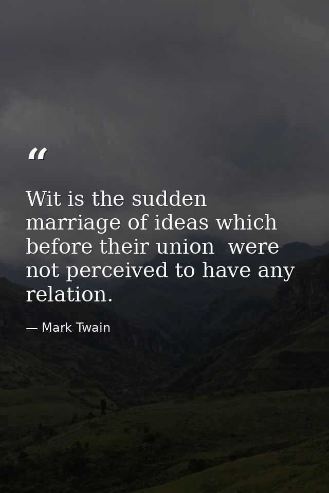 Wit is the sudden marriage of ideas which  before their union  were not perceived to have any relation. — Mark Twain