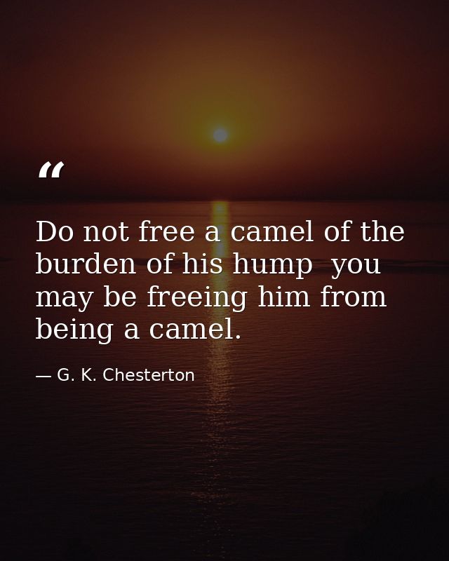 Do not free a camel of the burden of his hump  you may be freeing him from being a camel. — G. K. Chesterton