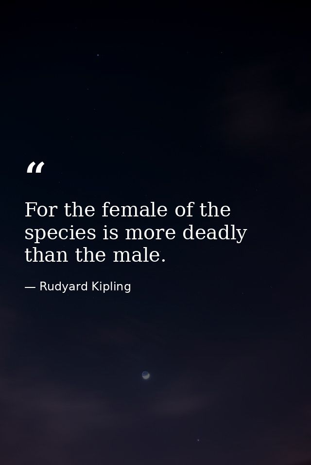 For the female of the species is more deadly than the male. — Rudyard Kipling