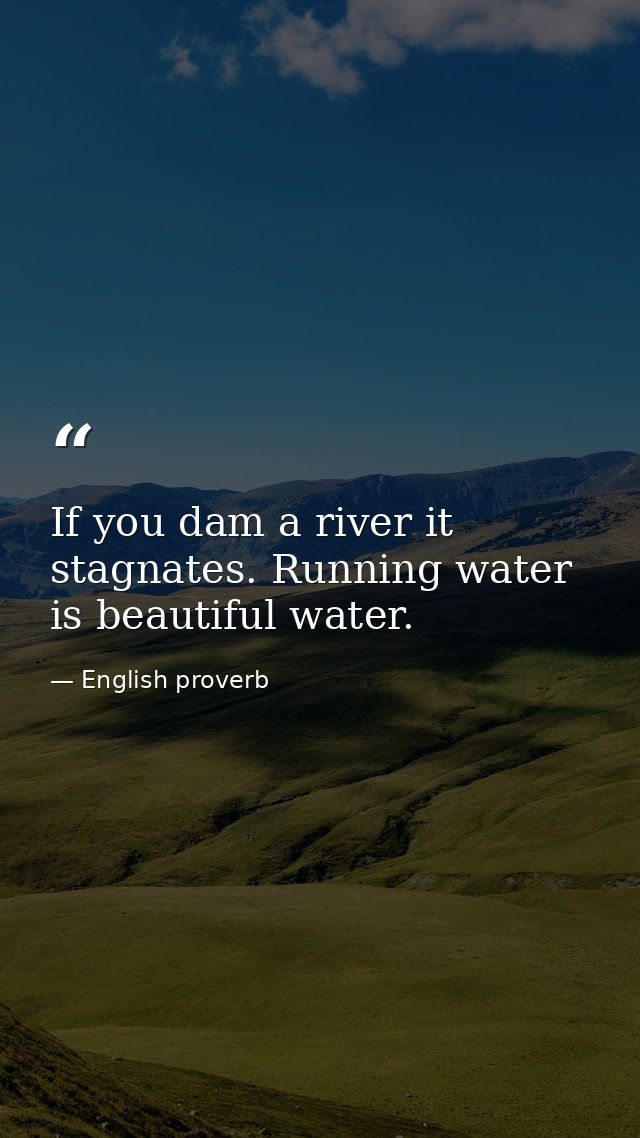 If you dam a river it stagnates. Running water is beautiful water. — English proverb