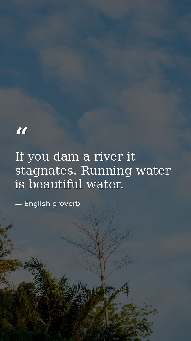 If you dam a river it stagnates. Running water is beautiful water. — English proverb