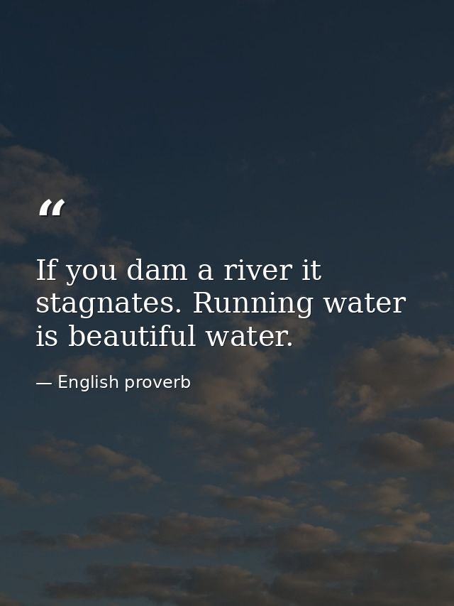If you dam a river it stagnates. Running water is beautiful water. — English proverb