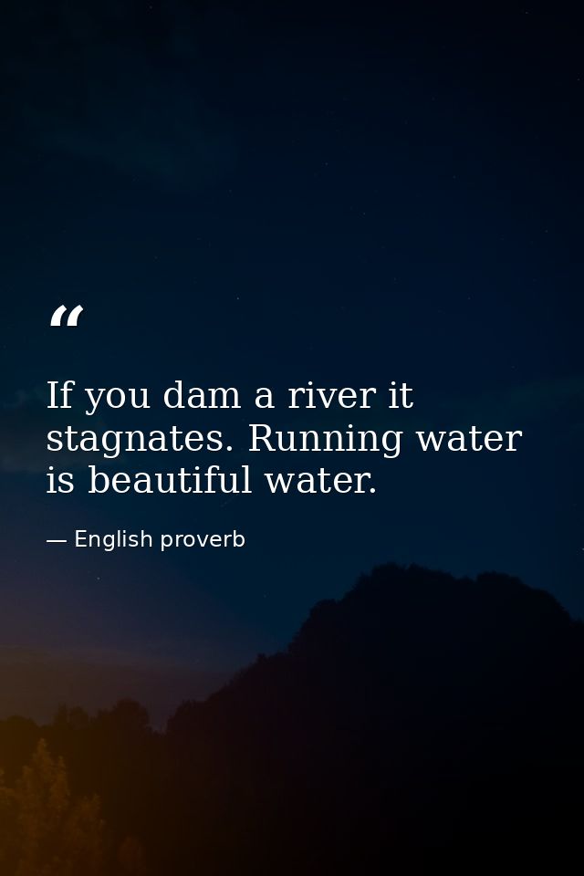 If you dam a river it stagnates. Running water is beautiful water. — English proverb