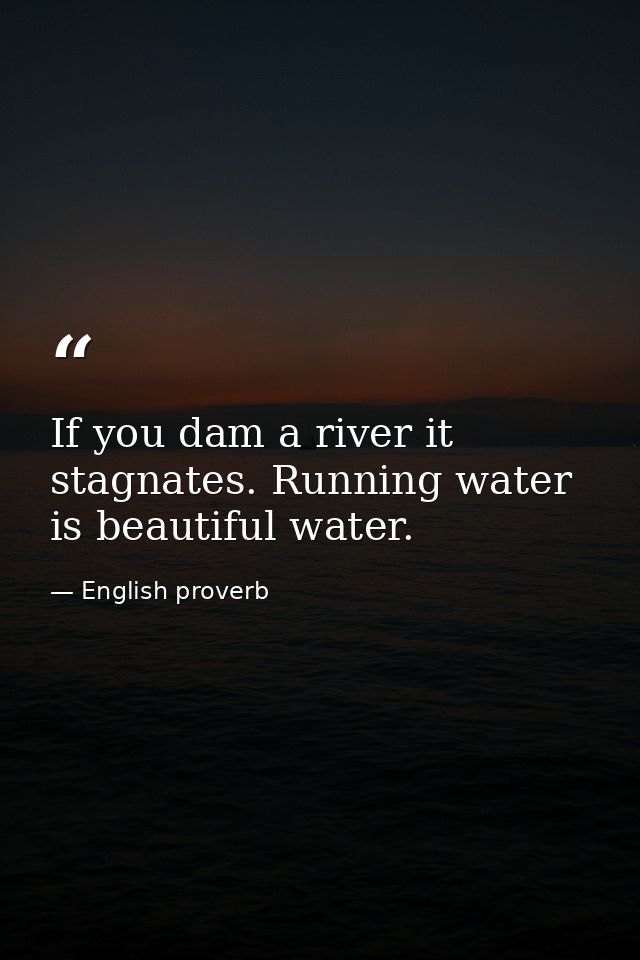 If you dam a river it stagnates. Running water is beautiful water. — English proverb