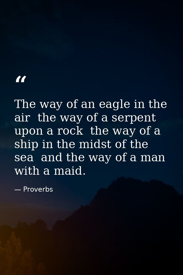 The way of an eagle in the air  the way of a serpent upon a rock  the way of a ship in the midst of the sea  and the way — Proverbs