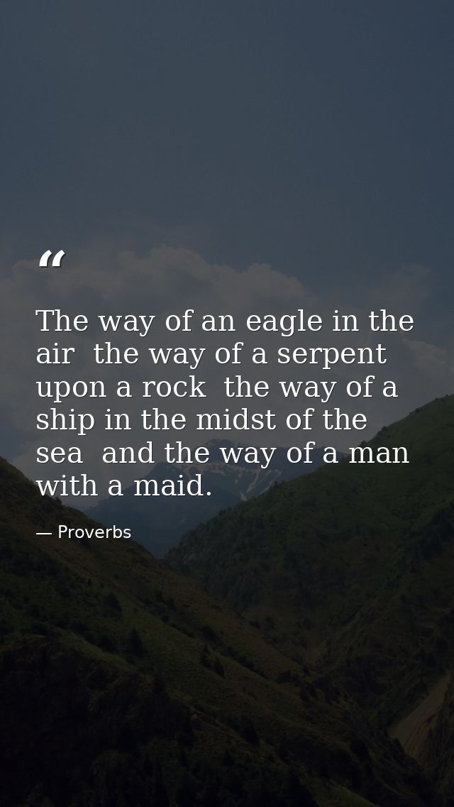The way of an eagle in the air  the way of a serpent upon a rock  the way of a ship in the midst of the sea  and the way — Proverbs