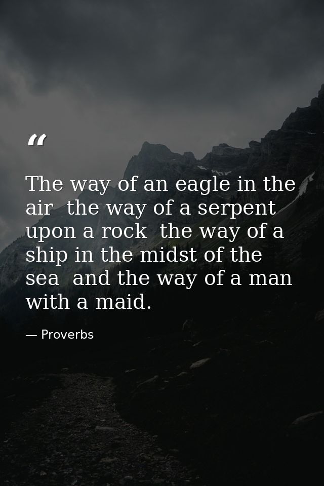 The way of an eagle in the air  the way of a serpent upon a rock  the way of a ship in the midst of the sea  and the way — Proverbs