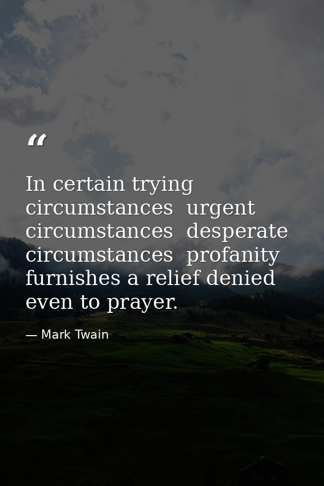 In certain trying circumstances  urgent circumstances  desperate circumstances  profanity furnishes a relief denied even — Mark Twain