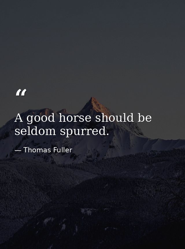 A good horse should be seldom spurred. — Thomas Fuller