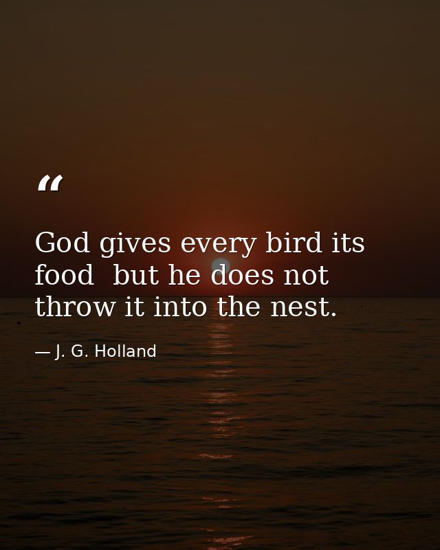 God gives every bird its food  but he does not throw it into the nest. — J. G. Holland