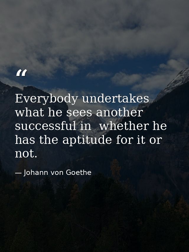 Everybody undertakes what he sees another successful in  whether he has the aptitude for it or not. — Johann von Goethe