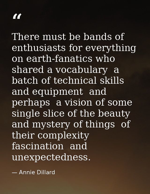There must be bands of enthusiasts for everything on earth-fanatics who shared a vocabulary  a batch of technical skills — Annie Dillard