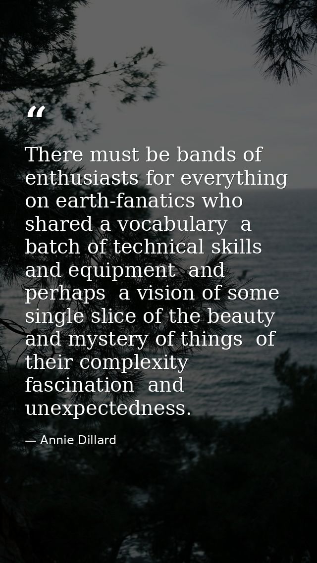 There must be bands of enthusiasts for everything on earth-fanatics who shared a vocabulary  a batch of technical skills — Annie Dillard