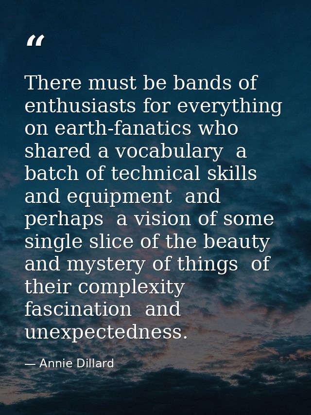 There must be bands of enthusiasts for everything on earth-fanatics who shared a vocabulary  a batch of technical skills — Annie Dillard