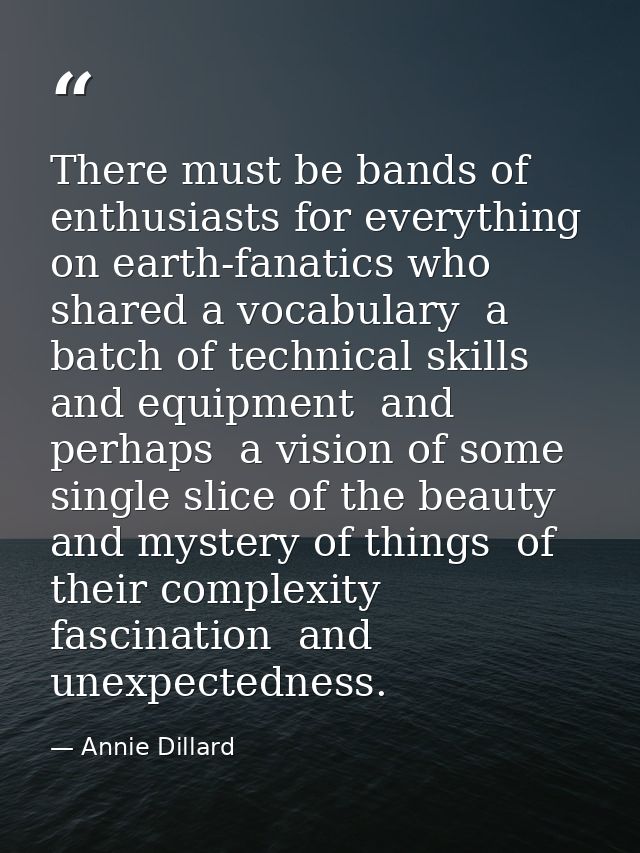 There must be bands of enthusiasts for everything on earth-fanatics who shared a vocabulary  a batch of technical skills — Annie Dillard